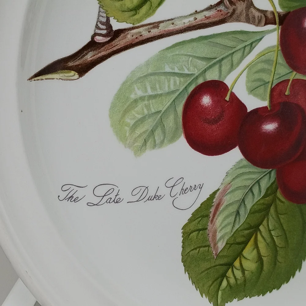 The Pomona Portmeirion Late Duke Cherry Dinnerware Plate
